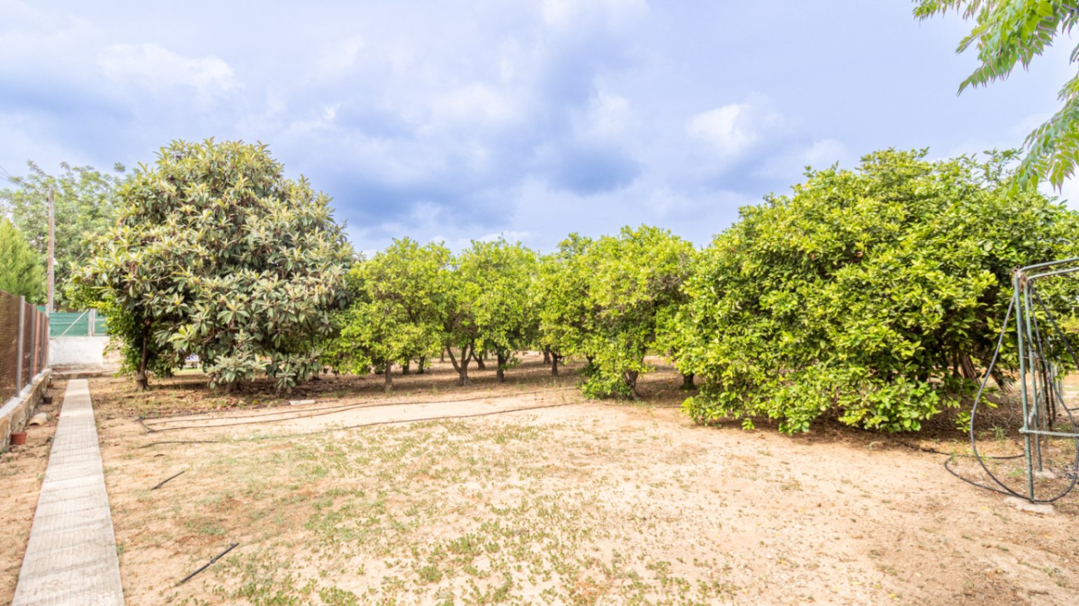 IMG_8619-HDR-3295-C