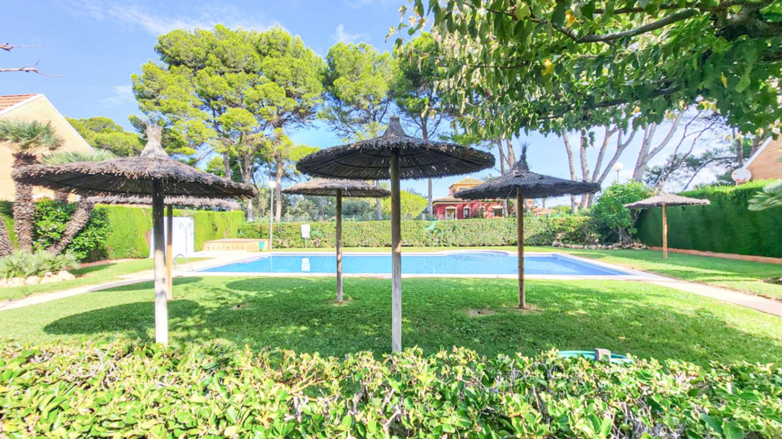 ImagendeWhatsApp2025-10-17alas12.44.15_616c248b-3338-C