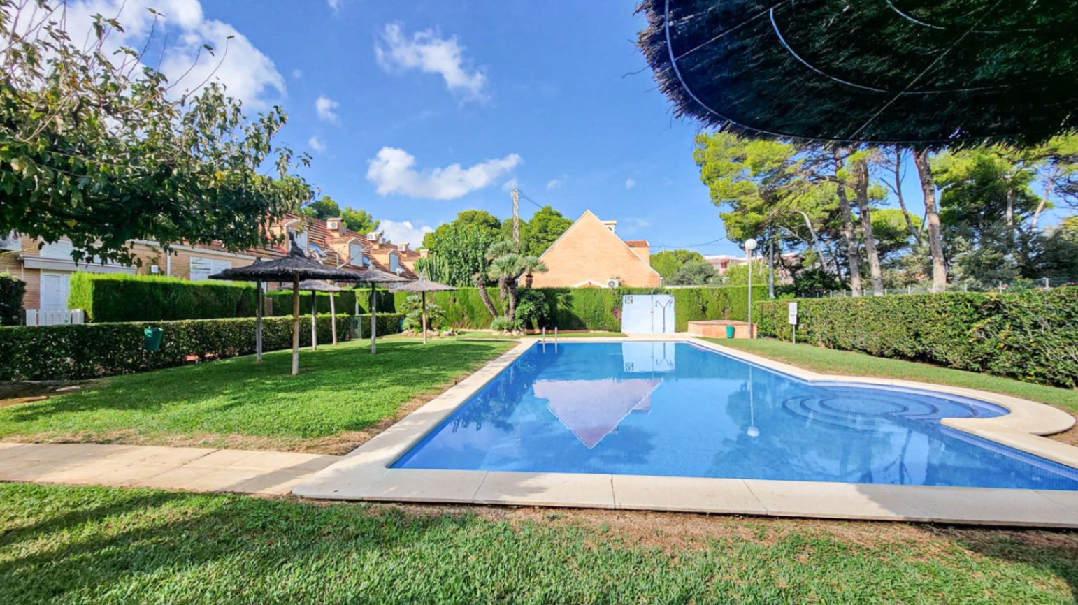 ImagendeWhatsApp2025-10-17alas12.44.22_82e3f110-3338-C