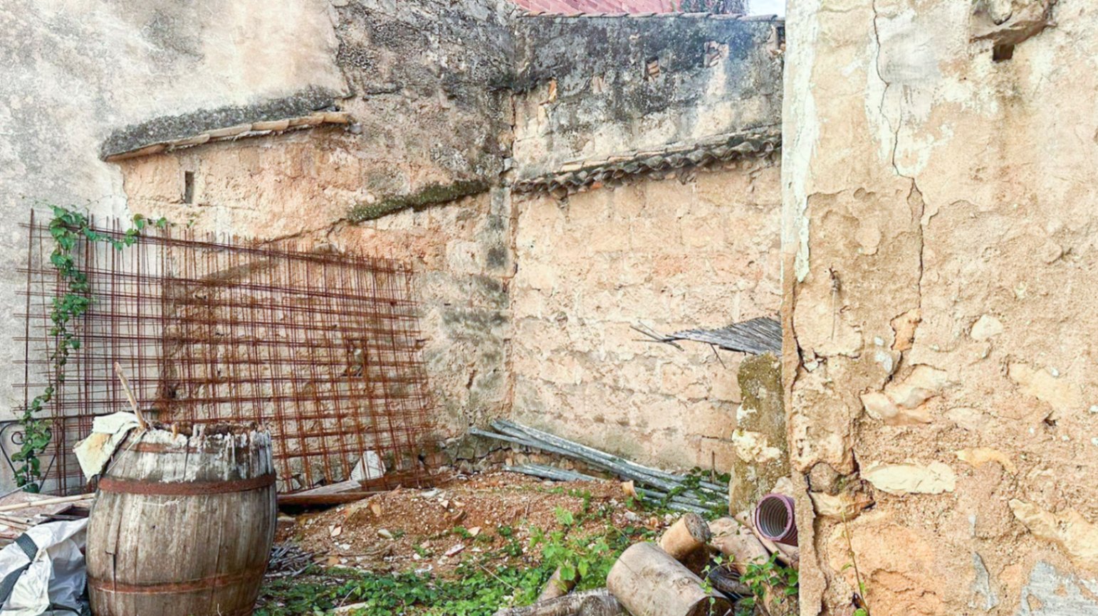 WhatsAppImage2025-11-17at13.20.358-3359-c