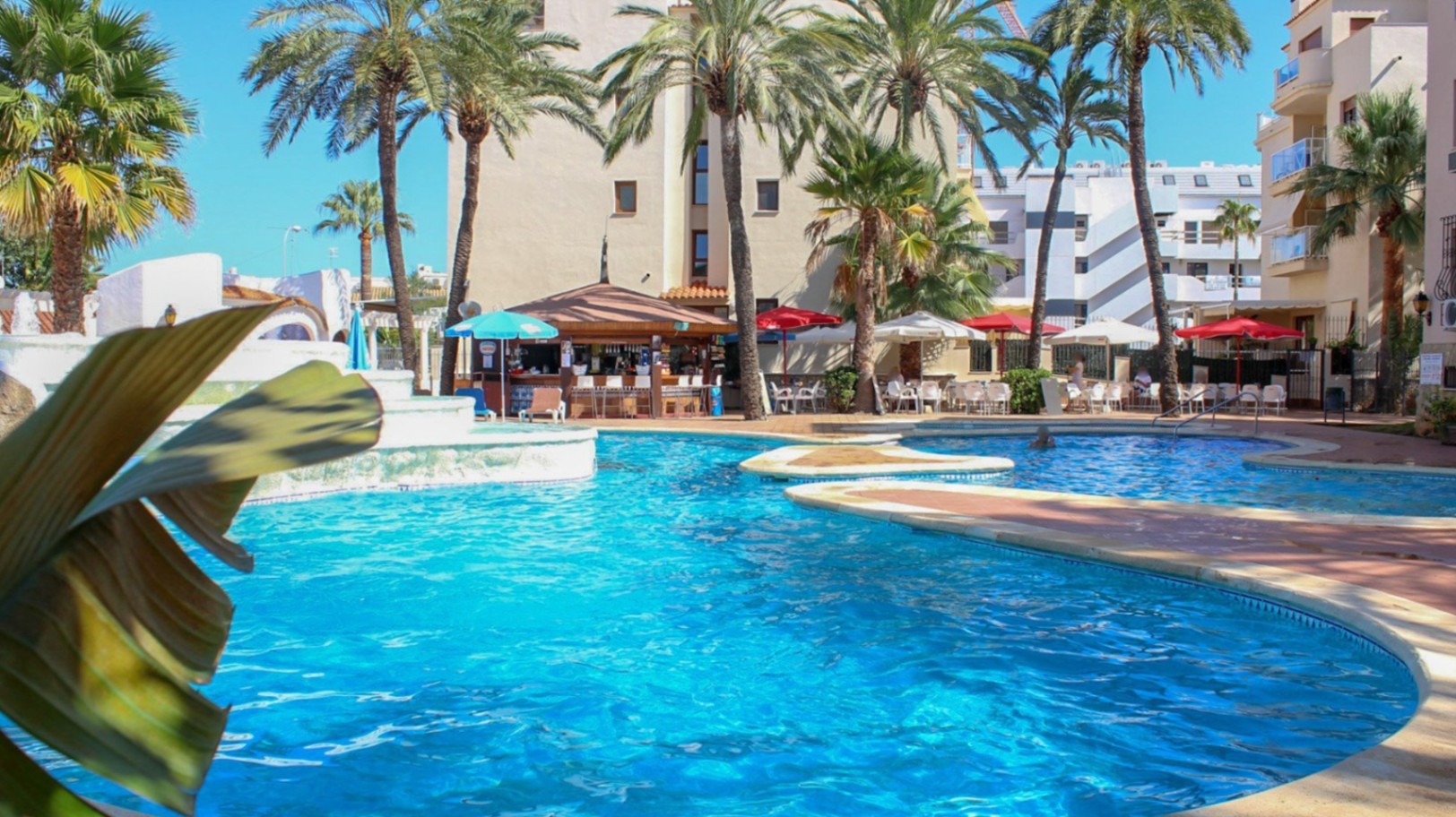 ImagendeWhatsApp2025-05-06alas18.39.15_69013c4d-3411-C