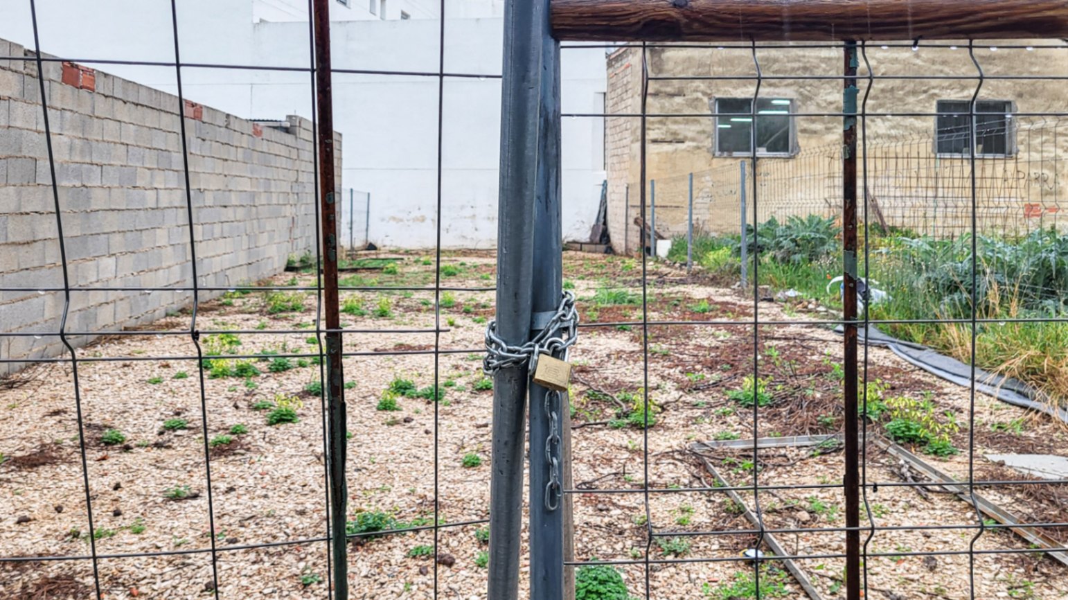 20260306_100012-copia4-3455-C