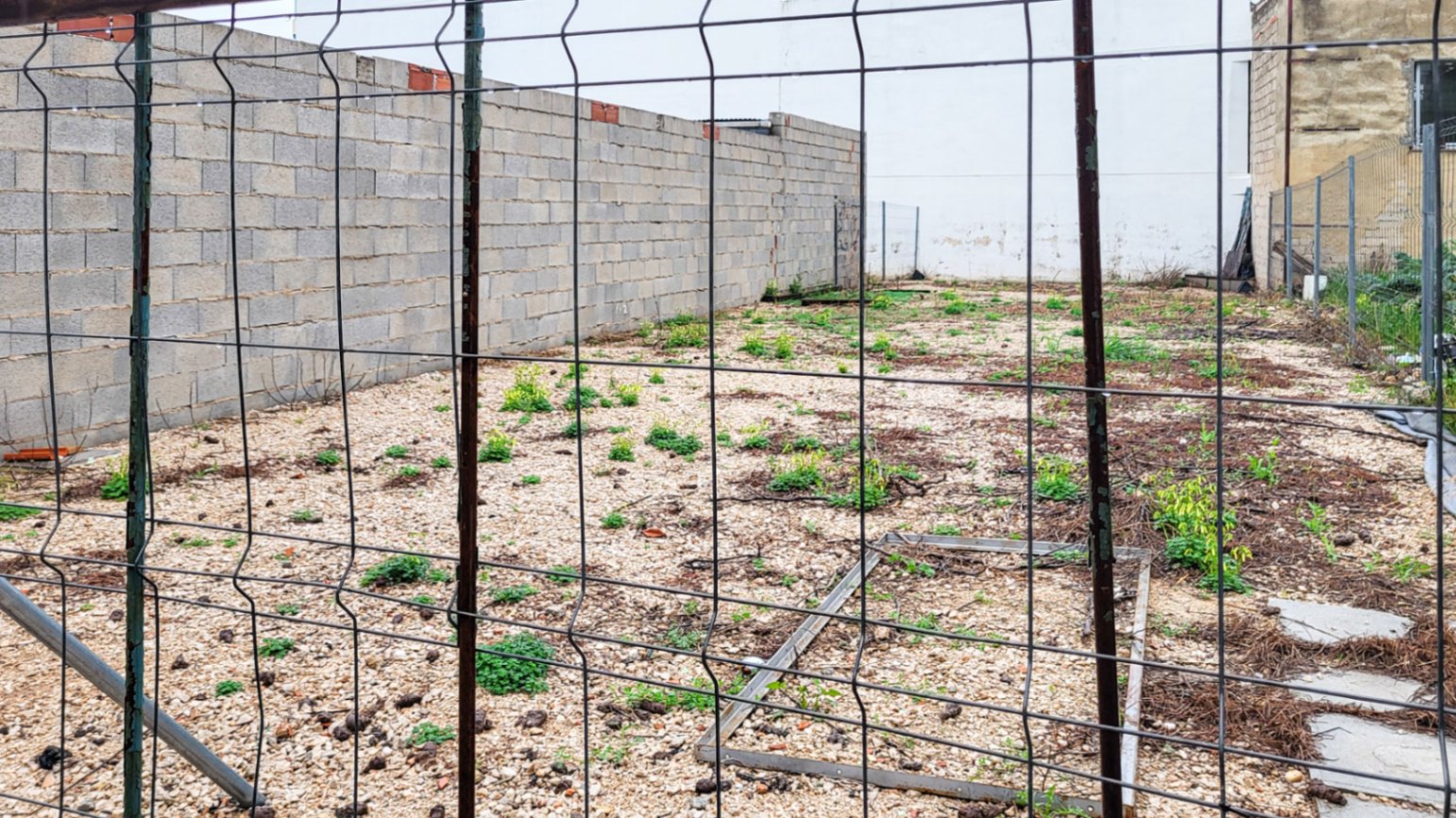 20260306_100020-3455-C