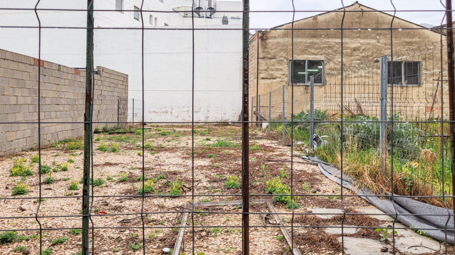 20260306_100044-3455-C