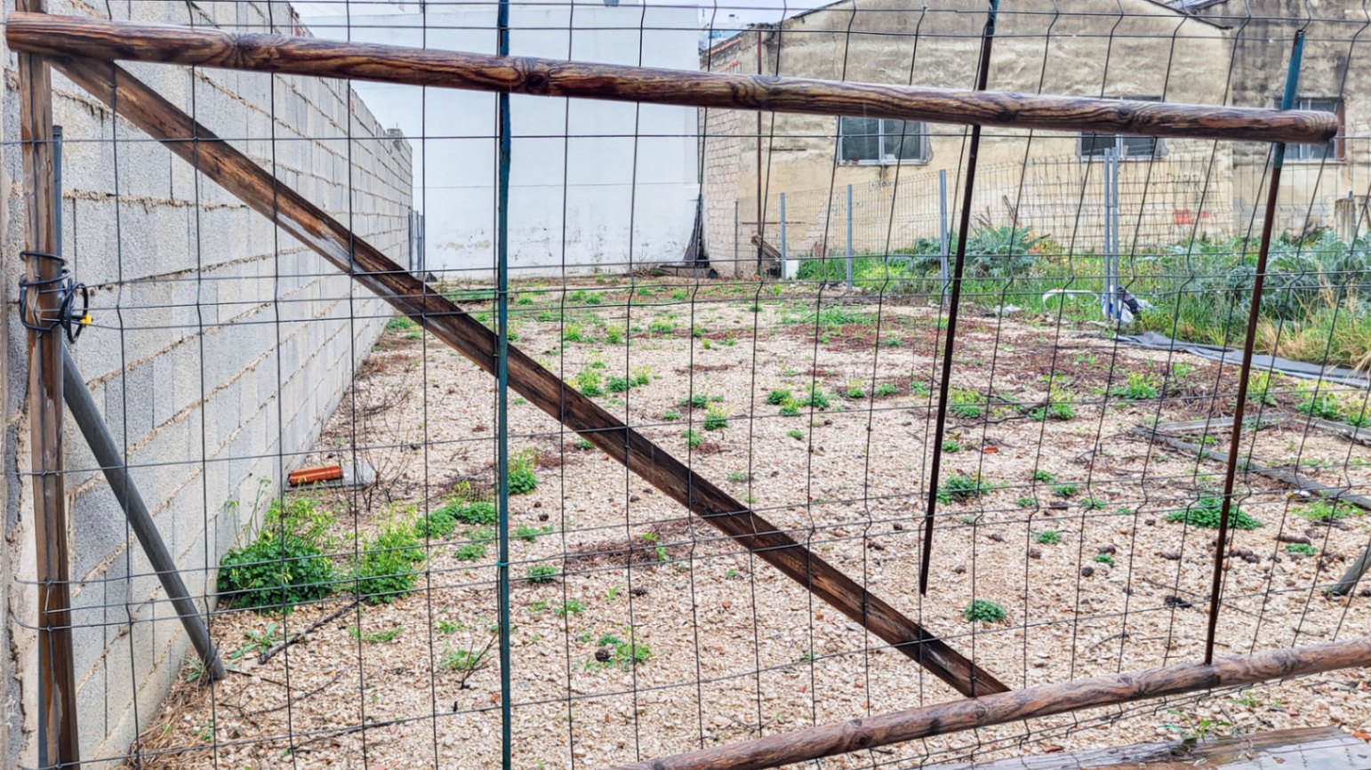 20260306_100059-3455-C