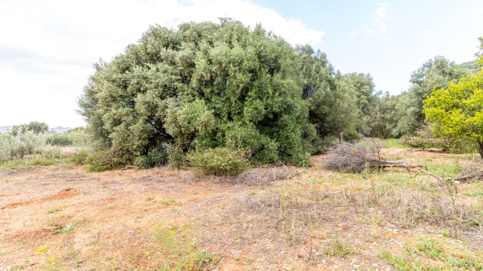 IMG_9069-HDR-copia-3504-C