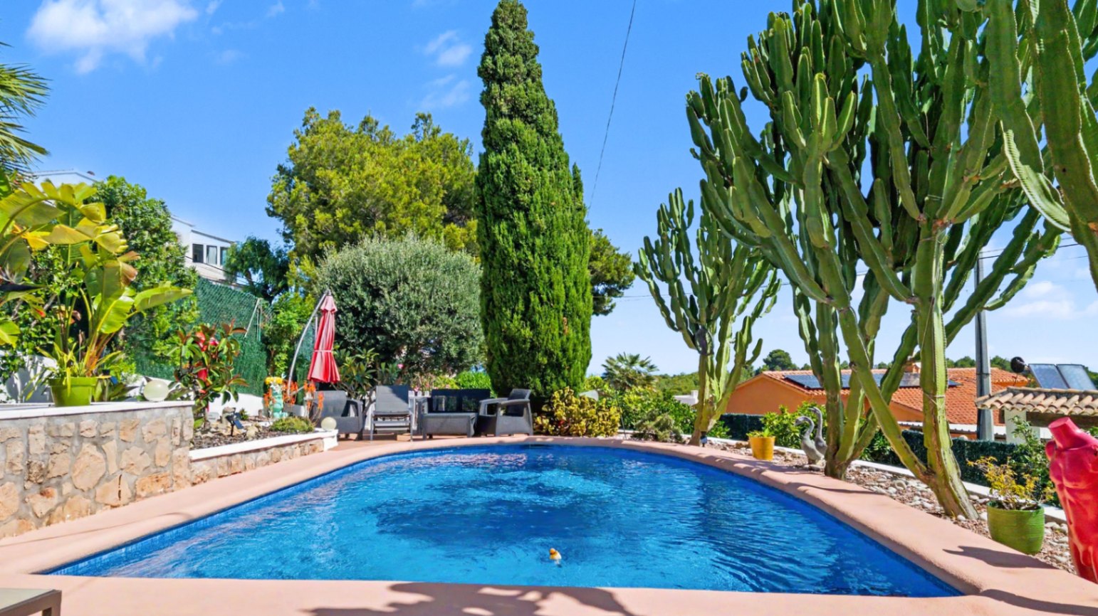 IMG_20260608_111832_1781088476350-3538-C